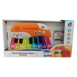 Imagen principal