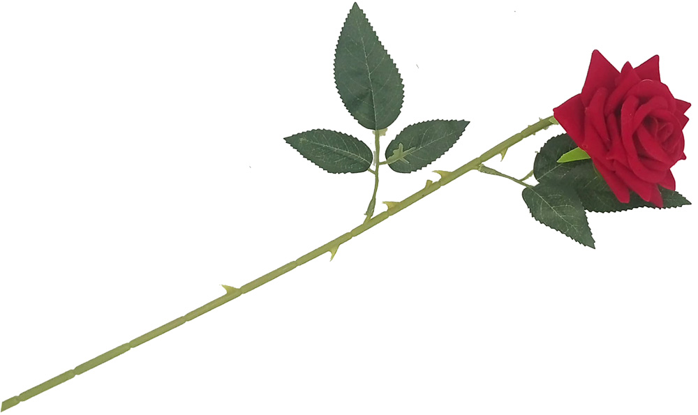 Rosa roja 53cm