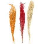 Ramo de flores disecadas 60cm aprox- 3 surt - Imagen 3