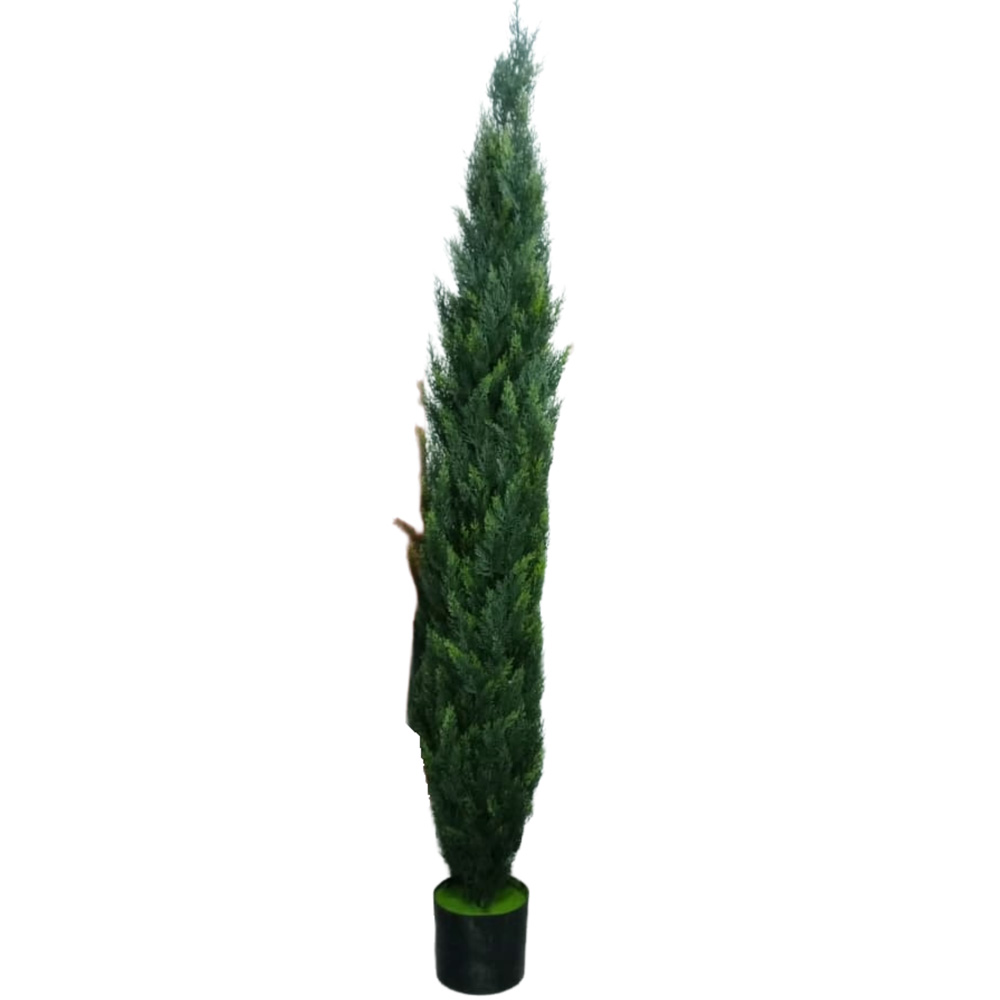 Planta de 1,5 m tipo pino con Maceta / 150 Cm